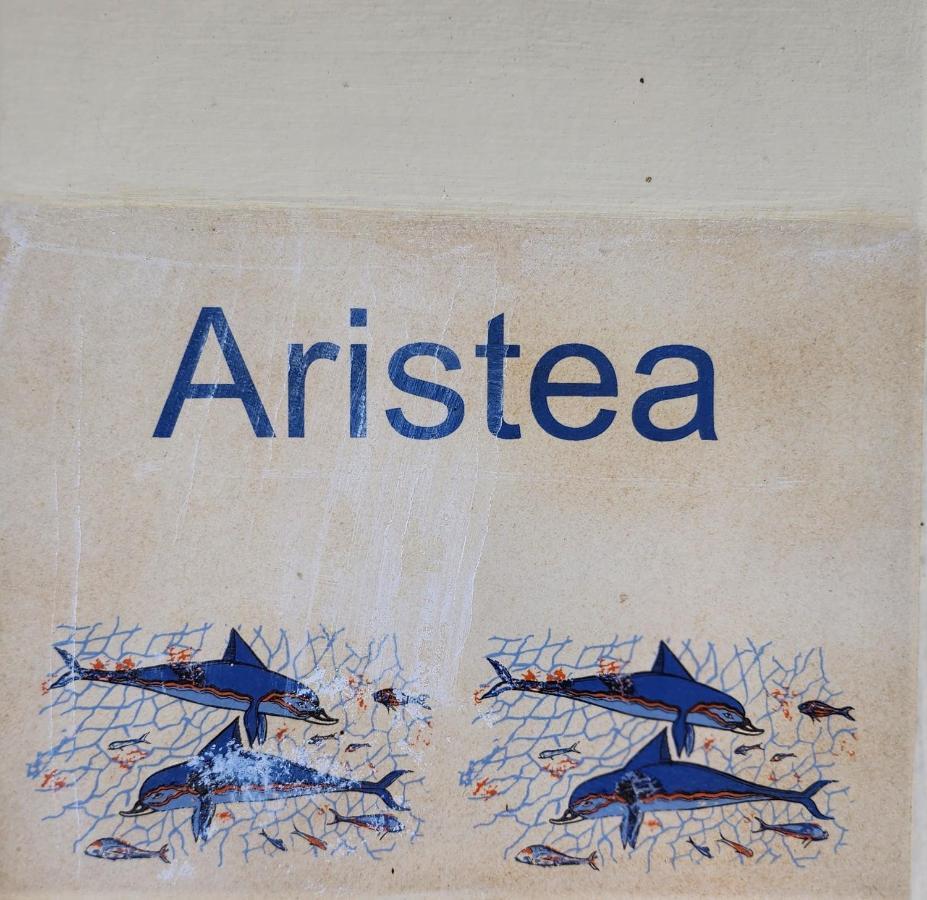Aristea Studios Kato Korakiana Екстериор снимка